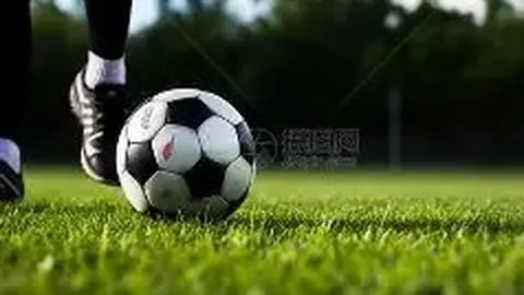 中国古典式摔跤队斩获三枚铜奖
